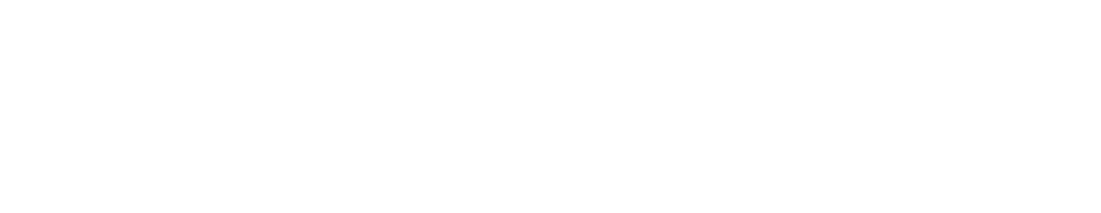 H2 Insektenschutz Logo