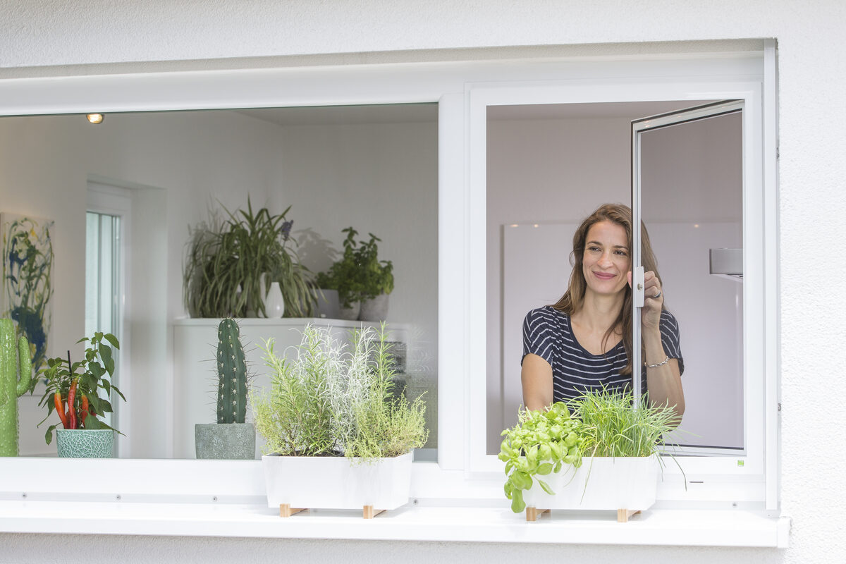 Dezenter Insektenschutz am Fenster