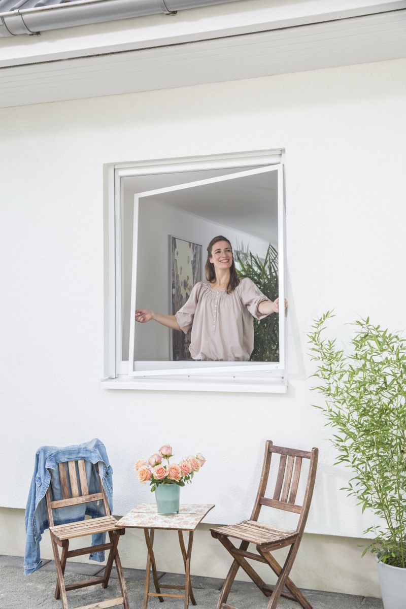 Insektenschutz für Fenster