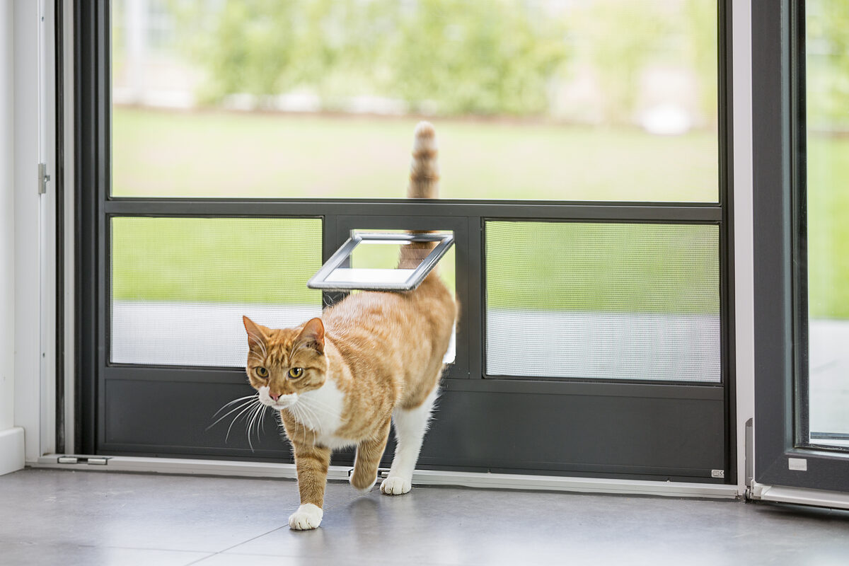 Katzenklappe Insektenschutztür